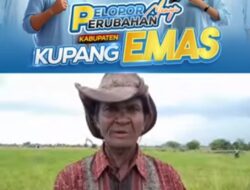 Petani Sawah Jati Dale Naibonat Berterima Kasih Kepada Bupati Kupang Terpilih