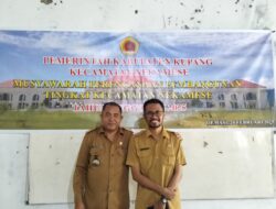 Nekamese Memiliki Potensi Pertanian dan Peternakan, Kendalanya Pupuk dan Infrastruktur