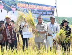 Bupati dan Ketua DPRD Kabupaten Kupang Panen Raya di Desa Enoraen
