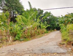 Warga Desa Oepaha, Pembangunan Jalan Lingkar Selatan Tanggung Jawab BPJN NTT