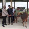 Ket. Foto: Kapolres Kupang saat Menyerahkan Hewan Kurban.