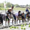 Ket. Foto: Penanaman Bersama Secara Simbolis Padi Musim Tanam Dua di Persawahan Lifubatu, Kecamatan Kupang Timur.