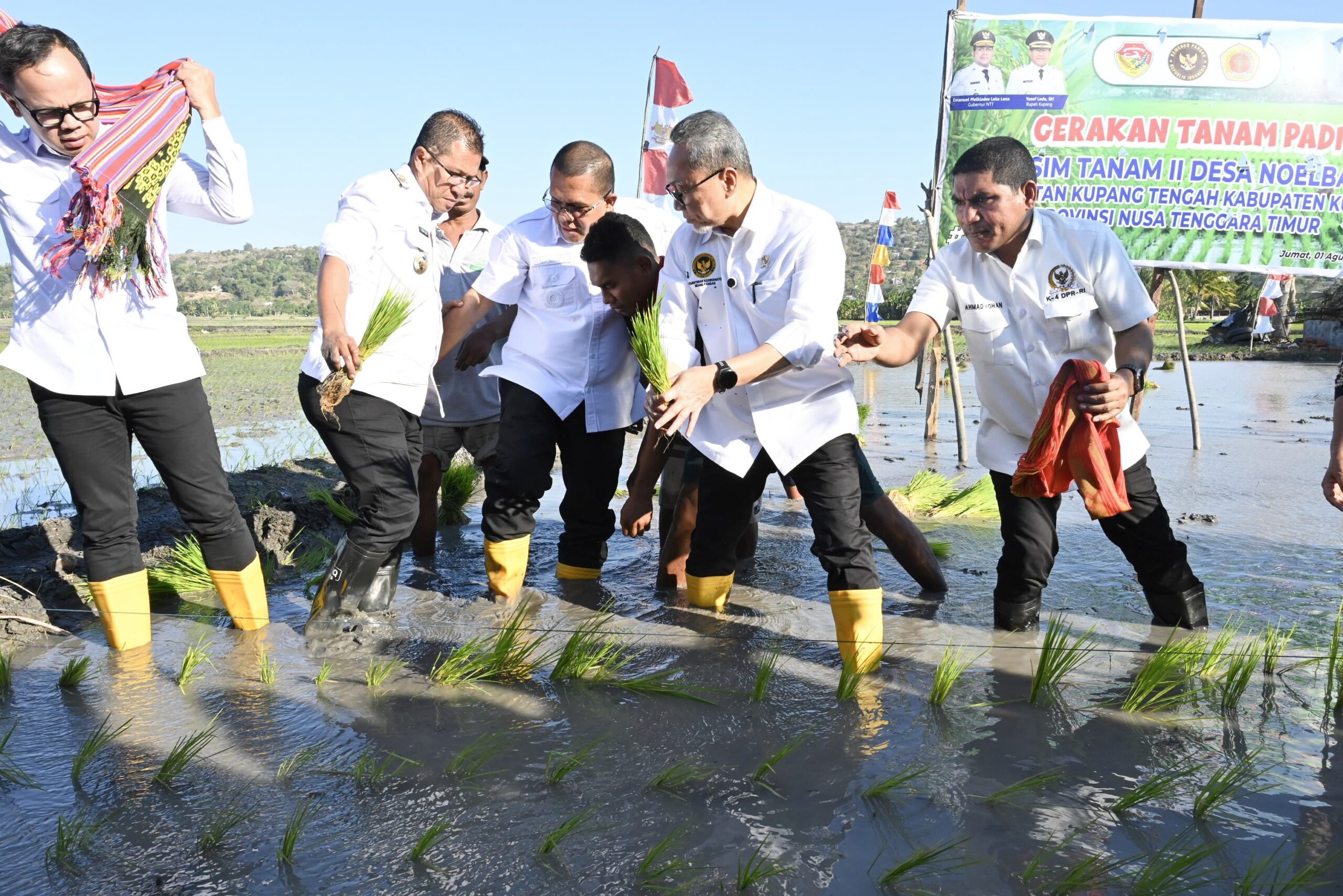 Ket. Foto: Menteri Koperasi, Zulkifri Hasan di Dampingi para Pejabat Tinggi Daerah saat Melakukan Penanaman Padi di Desa Noelbaki Bersama Warga.