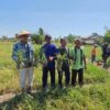 Ket. Foto: Anggora DPR RI PKB, Usman Husin Panen Raya Bawang Merah Bersama Kelompok Tani (Poktan) Oesao.