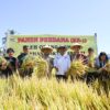 Ket. Foto: Pose Bersama saat Panen Perdana Padi di Sawah Kelompok Tani Sehati Desa Mata Air.