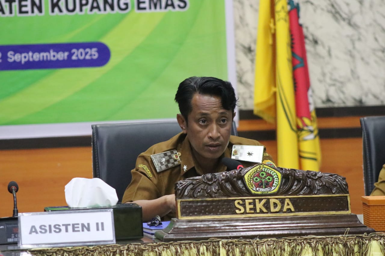 Ket. Foto: Sekertaris Daerah (Sekda) Kabupaten Kupang, Mateldius Soleman Jilis Sanam, S.T.