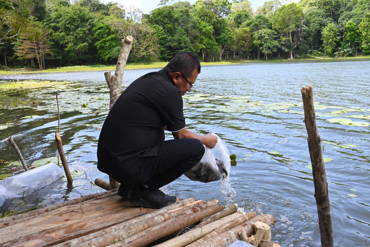 Ket. Foto: Bupati Kupang, Yosef Lede saat Menabur Ikan di Danau Nefokou.