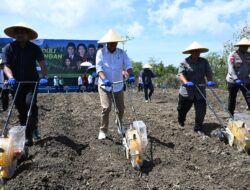 Ketahanan Pangan Benar-benar di Prioritaskan Pada Masa Kepemimpinan Prabowo Subianto