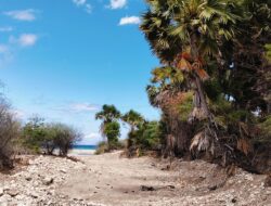 Sebagian Warga Desa Tasikona Pertanyakan Material yang Diambil Kontraktor Pelaksana