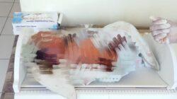 Ket. Foto: Seorang Bayi Laki-laki Tak Berdosa Mengakhiri Hidupnya.