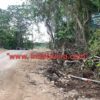 Ket. Foto: Ruas Jalan Silu-Oemofa Dalam Proses Pekerjaan yang Memasuki Kawasan Hutan.