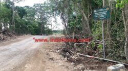Ket. Foto: Ruas Jalan Silu-Oemofa Dalam Proses Pekerjaan yang Memasuki Kawasan Hutan.