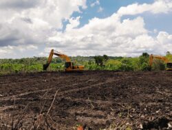 Anggaran Percetakan Sawah di Kabupaten Kupang Capai Rp.14 Miliar Lebih