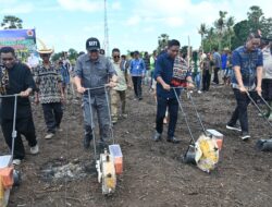 Yosef Lede Tanam Perdana Jagung di Desa Pantulan, Luas Lahan 340 Hektar