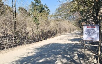 Sempat Konflik, Camat Kupang Tengah Tinjau Jalan di Desa Oelnasi