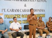 Keterangan: Bupati Kupang, Yosef Lede, S.H saat Menyampaikan Sambutannya.