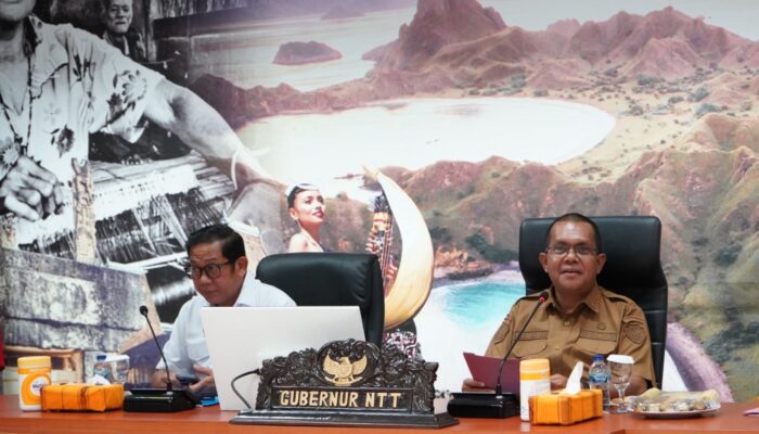 Konflik Adonara, 3 Orang Meninggal Dunia