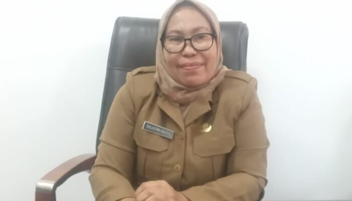 DLHK NTT, PT. Lestari Energi Timur Belum Kantongi SLO dan Izin Usaha