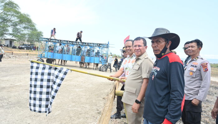 Lomba Pacuan Kuda Memiliki Kaitan Erat dengan Pelestarian Budaya dan Pariwisata Serta Tingkatkan Pendapatan Masyarakat