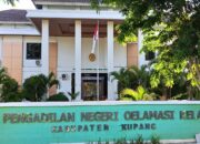 Kasus Pesetubuhan Anak Dibawah di Desa Manubelon  Mulai Sidang